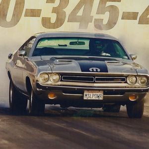 Meet your Posher, Bruce